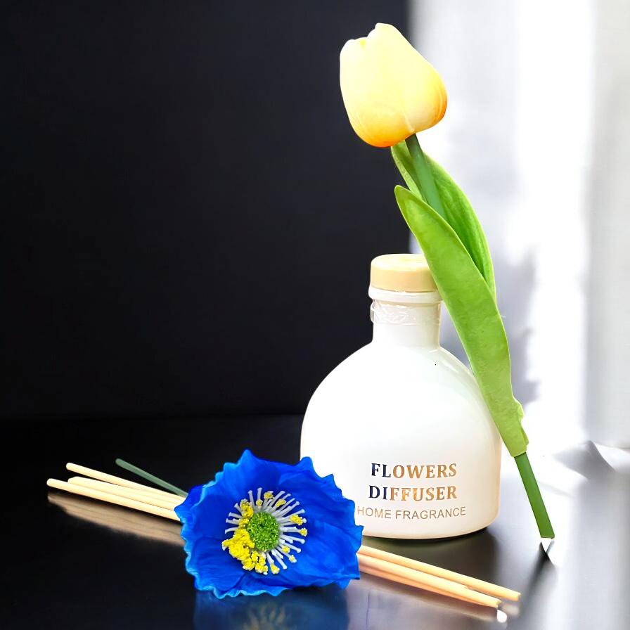 Aroma Diffuser Fragrance