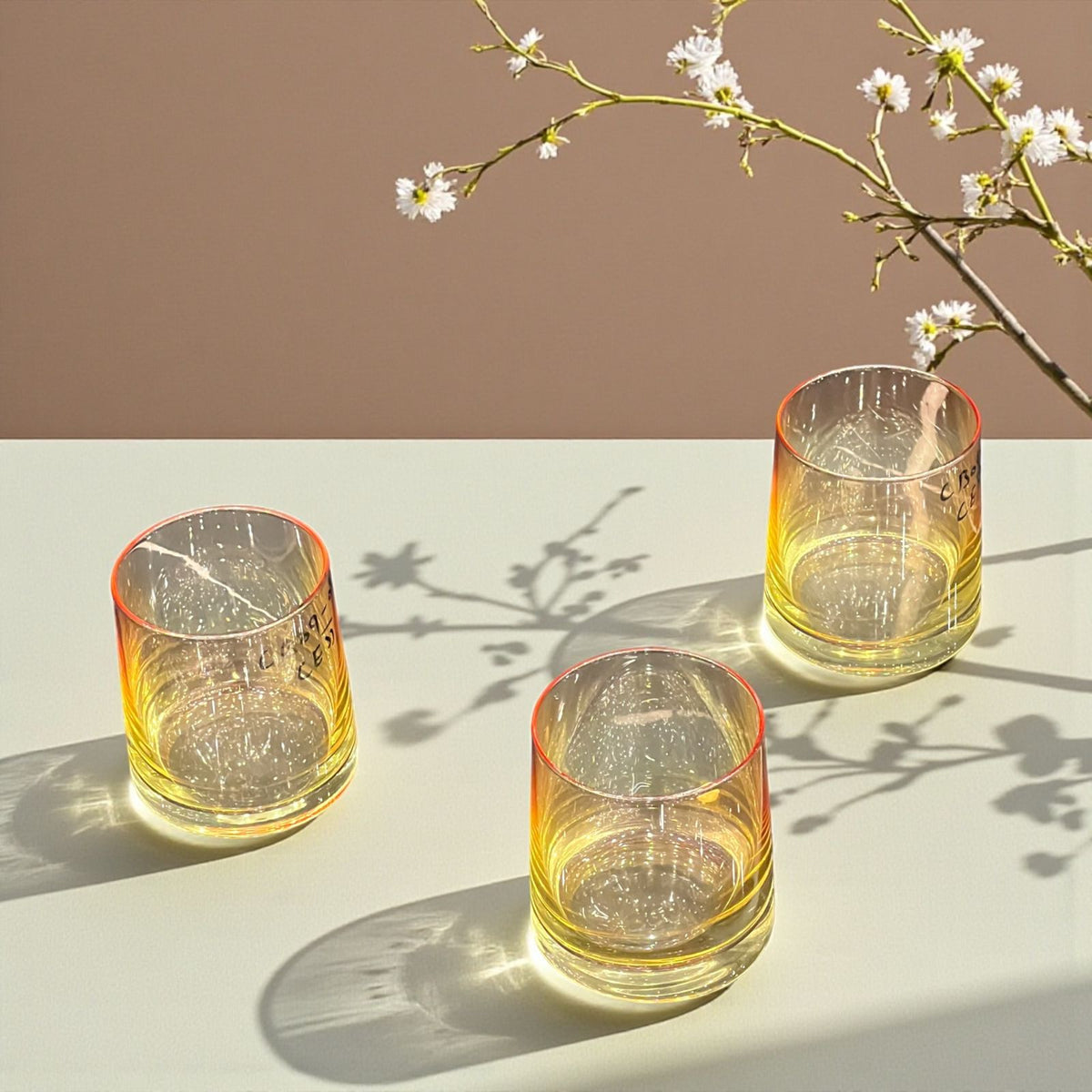 6 Pcs Short Glasses