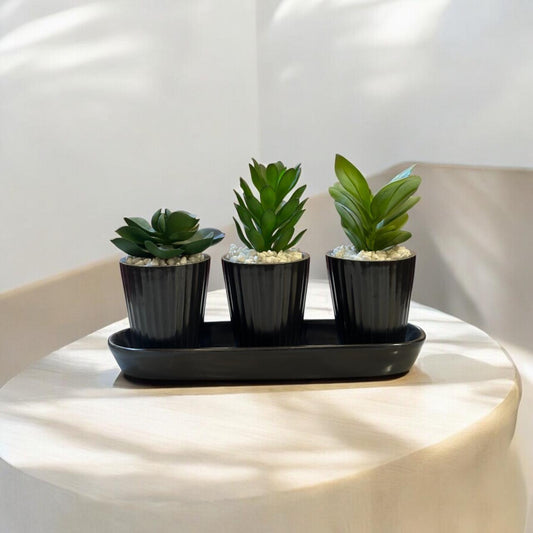 Ceramic black mini planter