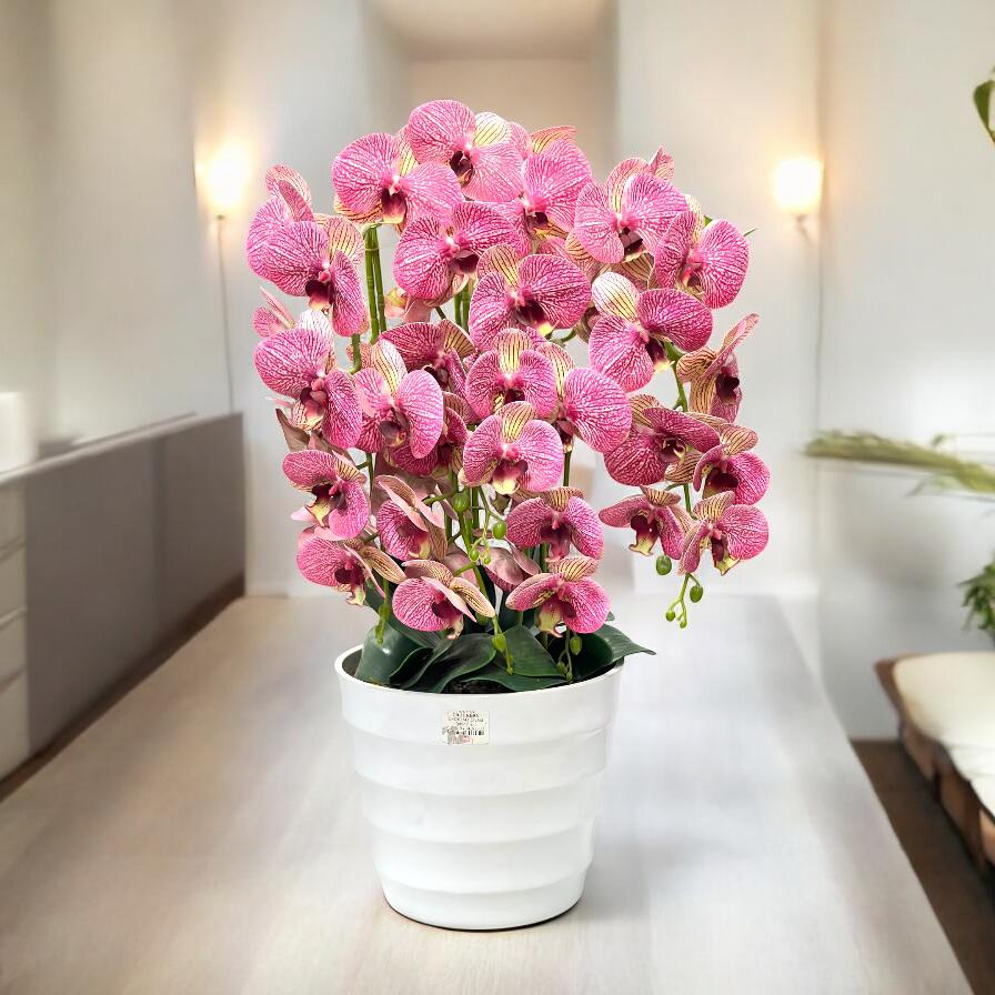 Flower Arrangements