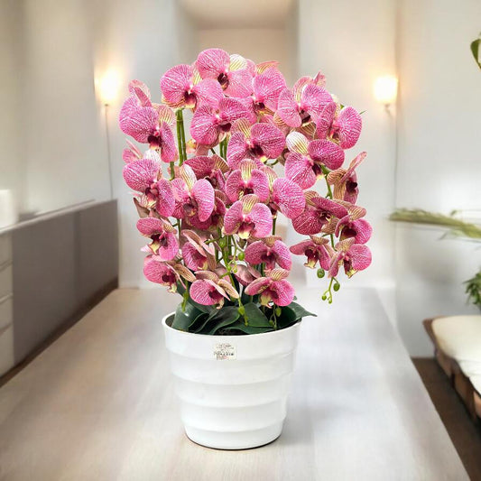 Flower Arrangements