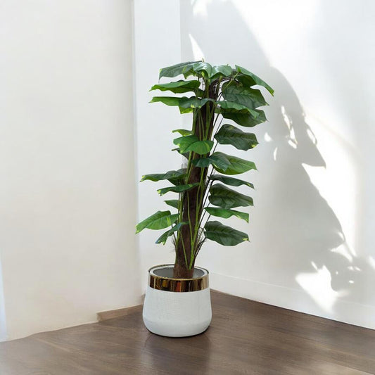 Planter