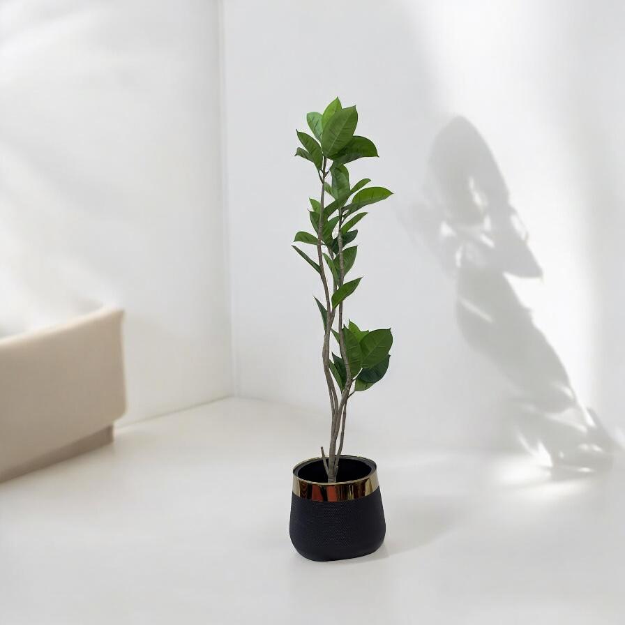 Planter