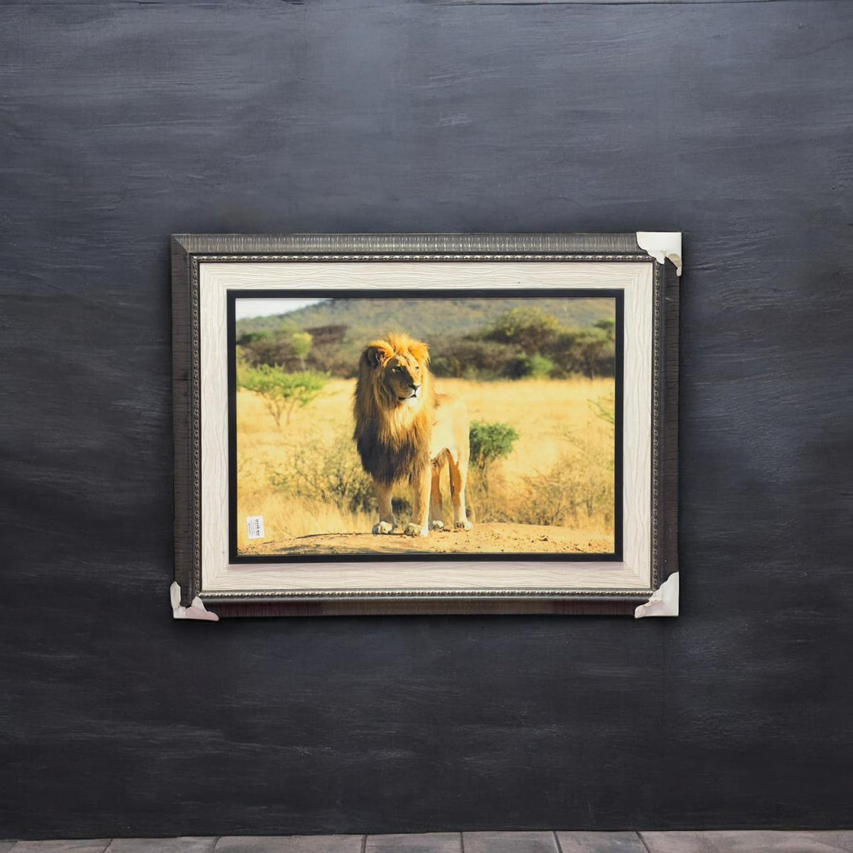 Frame 18×39