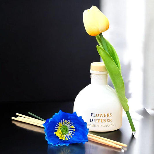 Aroma Diffuser Fragrance