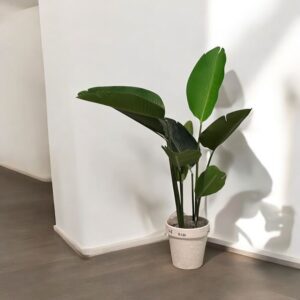 Planter