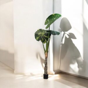 Planter