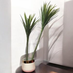 Planter